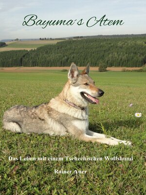 cover image of Bayumas Atem